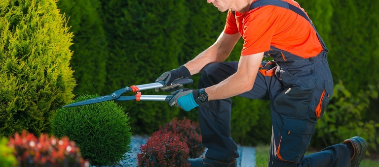 Garden Maintenance